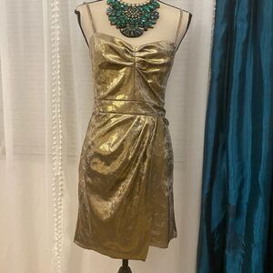 Zara Basic golden chameleon velour dress, M